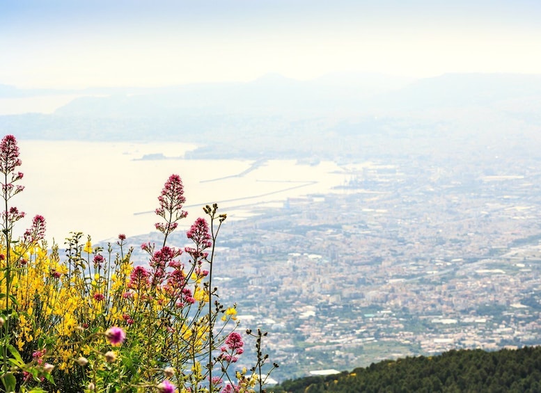 Picture 6 for Activity Pompeii, Herculaneum, and Vesuvius: Full-Day Guided Tour