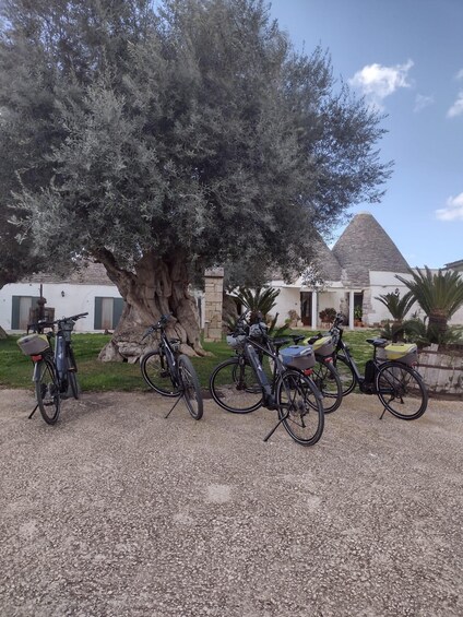 Picture 2 for Activity ebike tour: the villages of Valle d'Itria and typical food