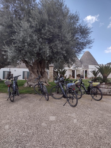 Picture 2 for Activity ebike tour: the villages of Valle d'Itria and typical food