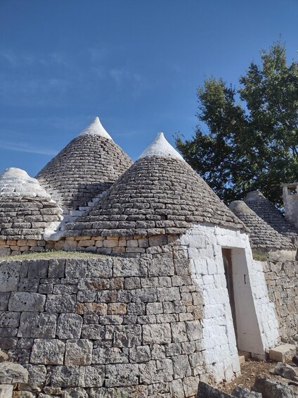 Picture 7 for Activity ebike tour: the villages of Valle d'Itria and typical food