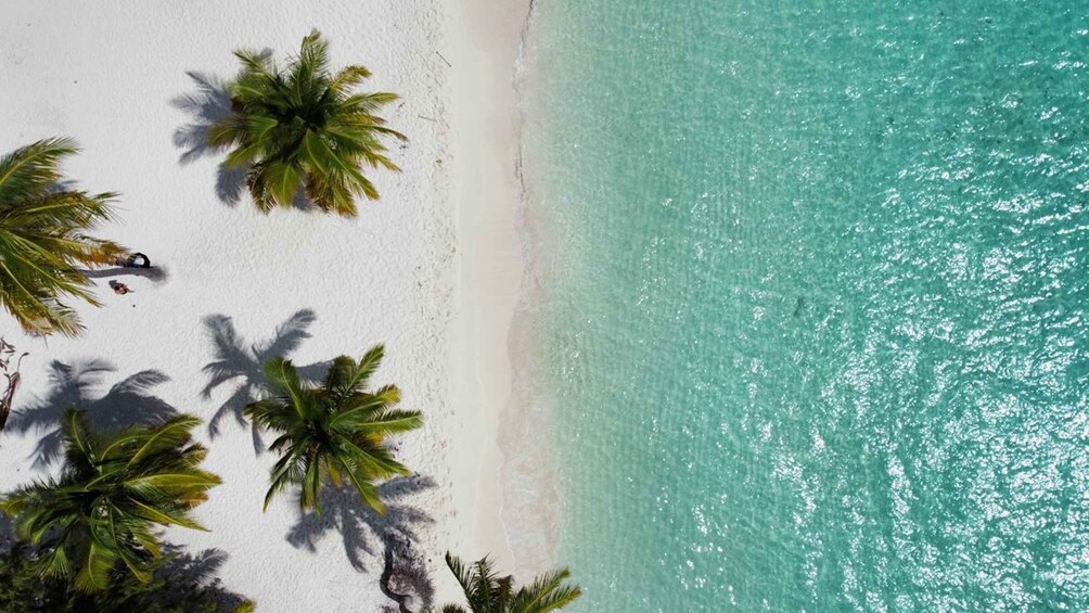 Picture 20 for Activity From La Romana: Saona Island for Aida Cruises Passengers