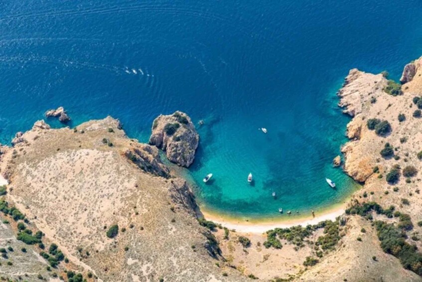 Picture 4 for Activity Wild Bays: Swimming and Snorkeling with Captain Bobo (3,5h)