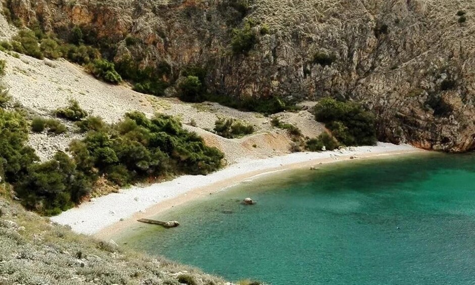 Picture 5 for Activity Wild Bays: Swimming and Snorkeling with Captain Bobo (3,5h)