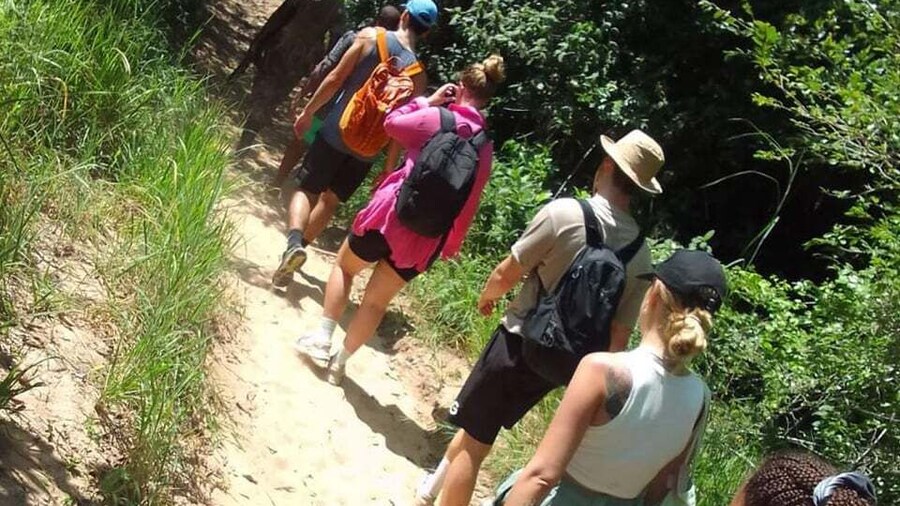 Full Day Shimba hills tour with Shifoga nature trail