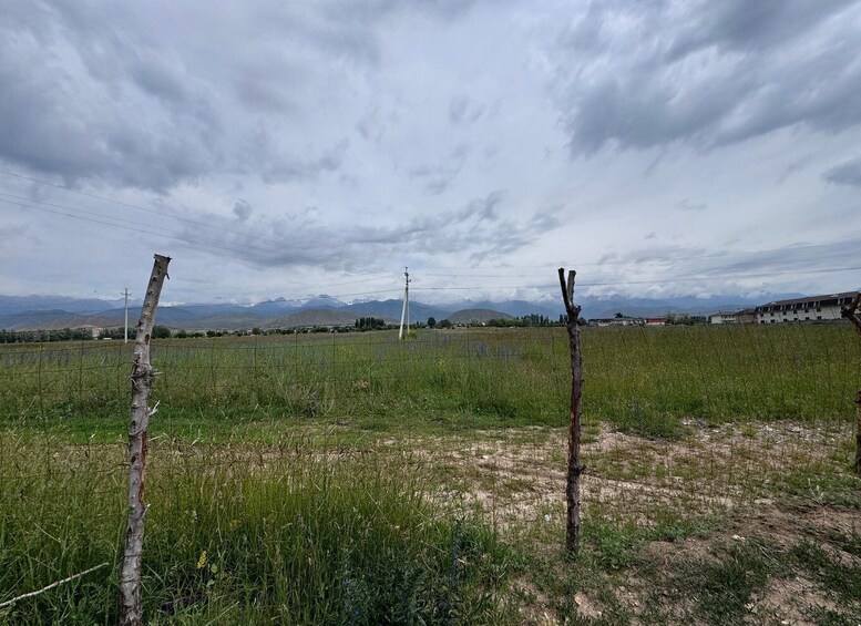 Picture 39 for Activity (One-Day) Scenic Issyk Kul Lake & Hike in Kok Moinok Canyons