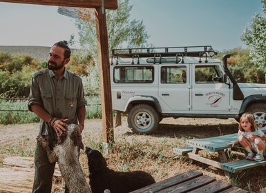 Tuscany: Volterra Truffle Hunting Experience