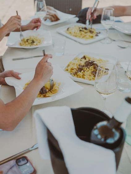 Picture 6 for Activity Tuscany: Volterra Truffle Hunting with Lunch or Dinner