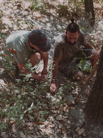 Picture 7 for Activity Tuscany: Volterra Truffle Hunting with Lunch or Dinner