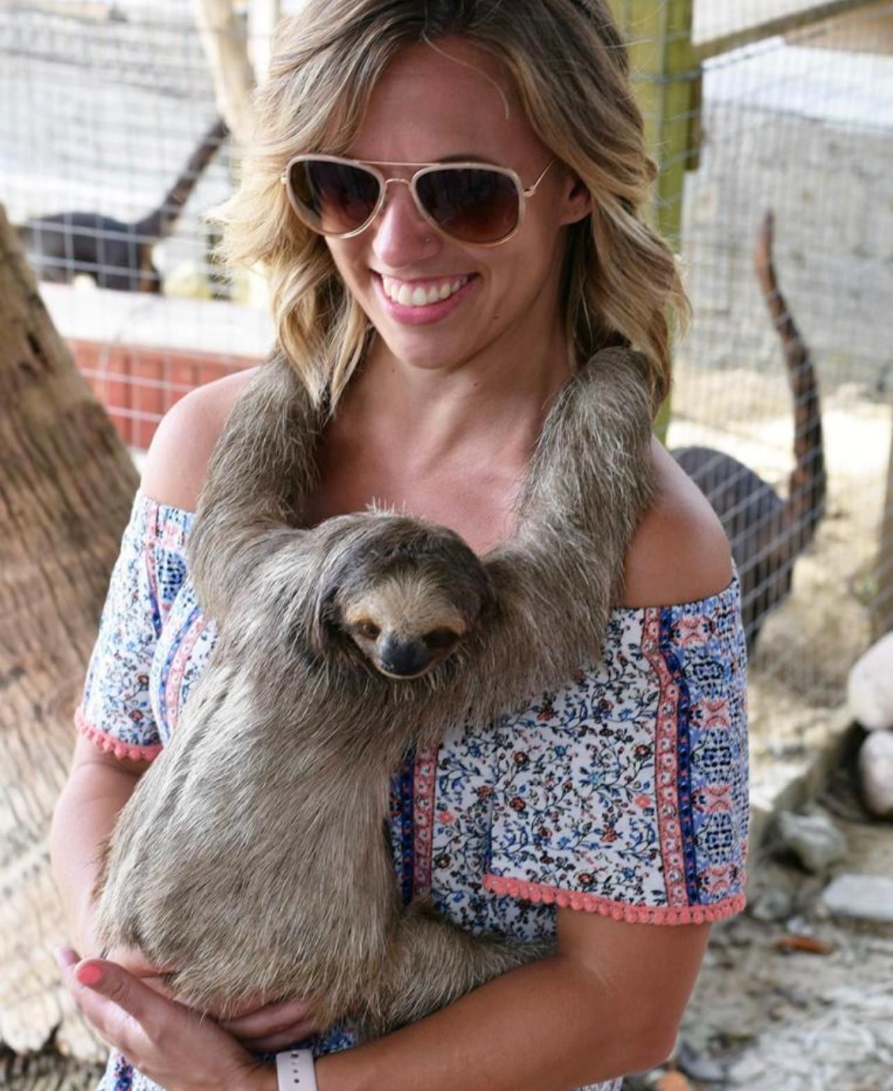 Roatan Sloths + Island Tour