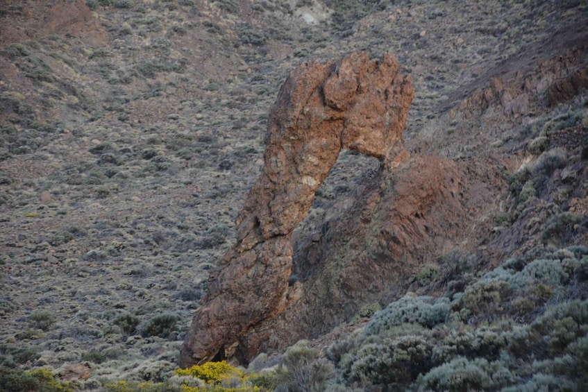 Picture 11 for Activity Tenerife Guided Quad Bike Tour to Teide National Park
