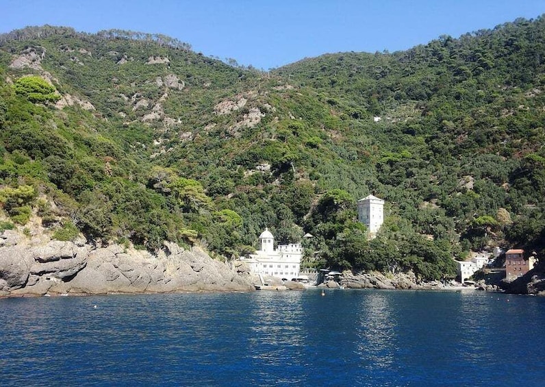 Picture 4 for Activity Camogli: Boat Tour on the trail of the Tonnarella