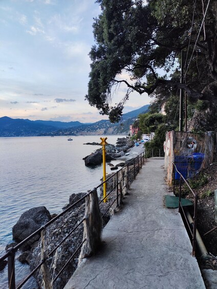 Picture 3 for Activity Camogli: Boat Tour on the trail of the Tonnarella