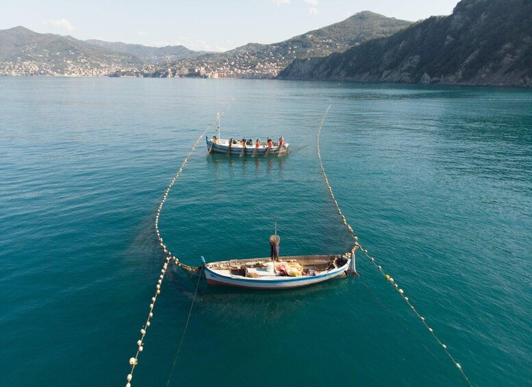 Picture 2 for Activity Camogli: Boat Tour on the trail of the Tonnarella