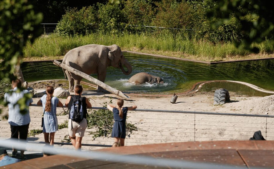 Picture 4 for Activity Copenhagen: Copenhagen Zoo Entry Ticket