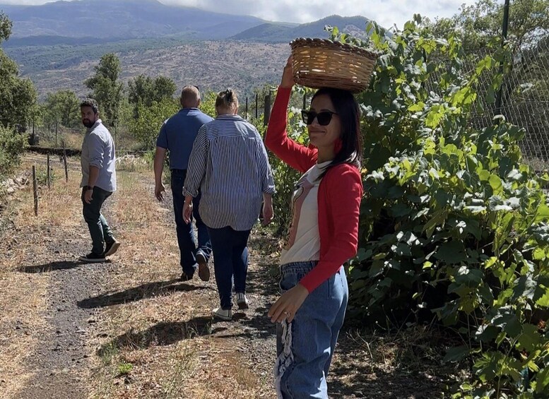 Picture 5 for Activity Taormina: cooking class in a farm