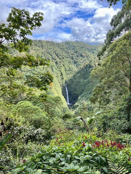 Picture 3 for Activity Poas volcano active crater, la Paz Waterfall & birdwatching