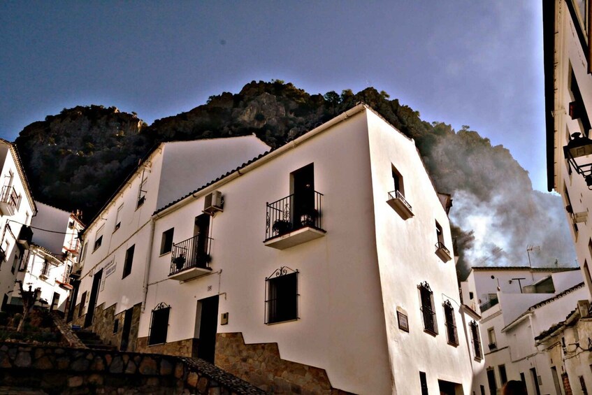 Picture 7 for Activity From Seville: White Villages Tour