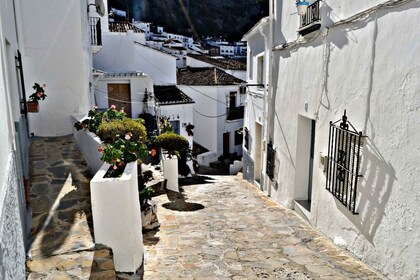 From Seville: White Villages Tour