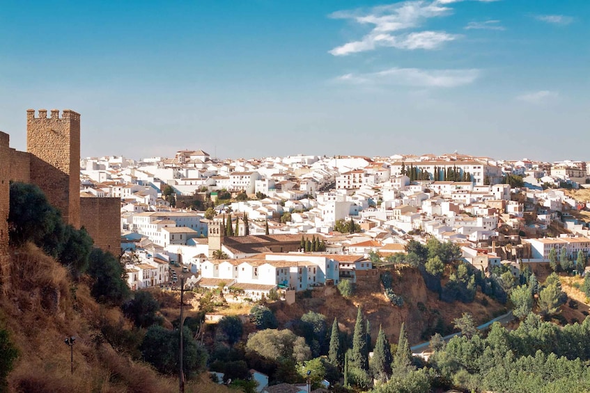 Picture 1 for Activity From Seville: White Villages Tour