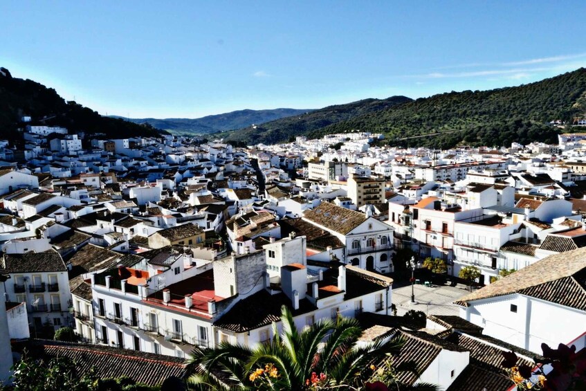 Picture 11 for Activity From Seville: White Villages Tour