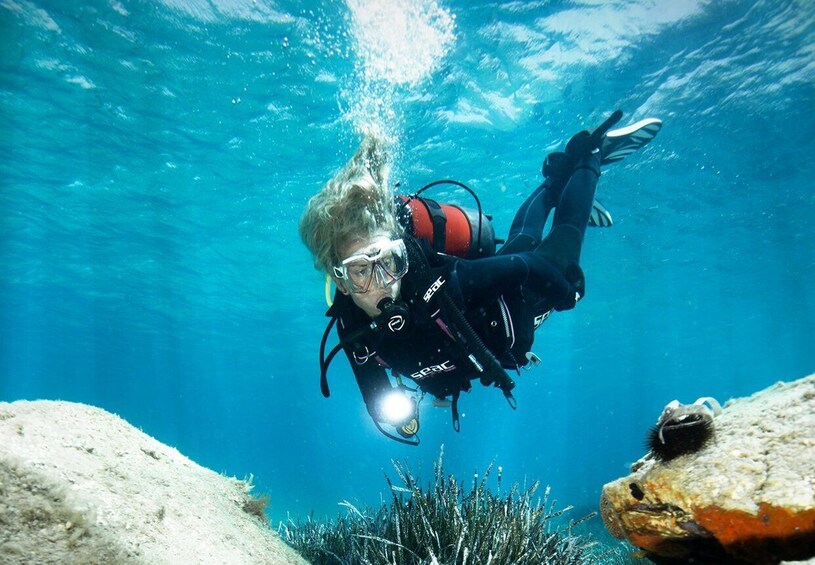 Picture 3 for Activity Scuba Diving - dive between Sculptures in the centre of fish