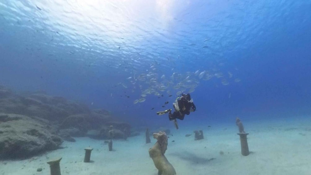 Try Dive - Scuba Diving - private guided - with lot of fish