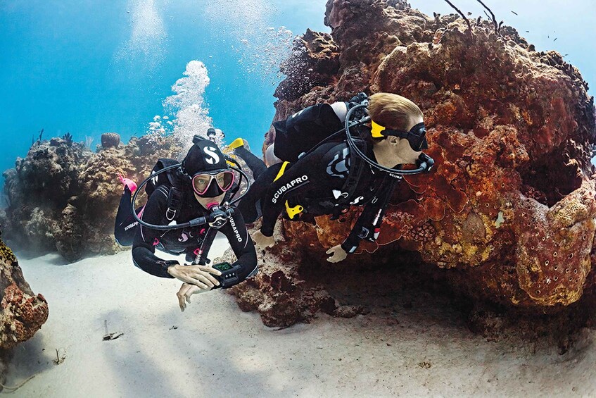 Picture 1 for Activity Try Dive - Scuba Diving - private guided - with lot of fish