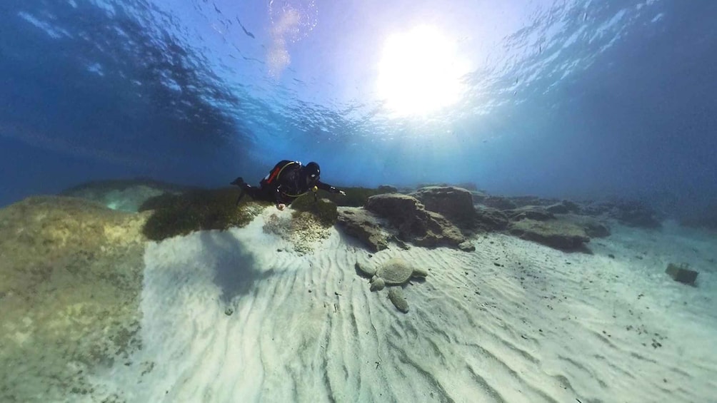 Picture 6 for Activity Try Dive - Scuba Diving - private guided - with lot of fish