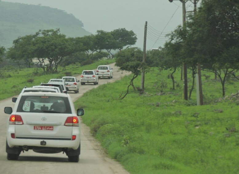 Picture 4 for Activity Salalah Jebel Safari