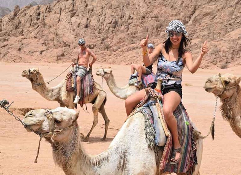 Picture 2 for Activity From Sharm: Private Buggy Tour with Private Transfers