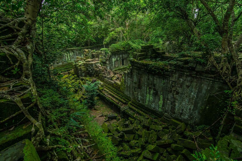 Picture 3 for Activity 5-Day All Must-See Attractions in Siem Reap