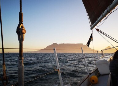 Le Cap : coucher de soleil croisière depuis le V&A Waterfront avec des bull...