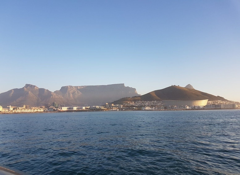 Picture 3 for Activity Cape Town: Sunset Cruise from V&A Waterfront with Bubbly