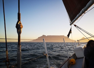 Le Cap : coucher de soleil croisière depuis le V&A Waterfront avec des bull...