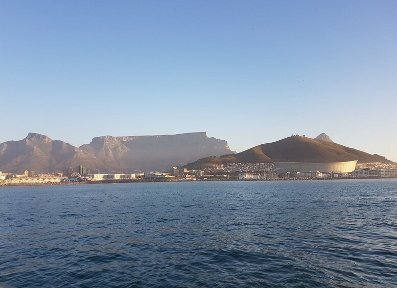 Picture 3 for Activity Cape Town: Sunset Cruise from V&A Waterfront with Bubbly