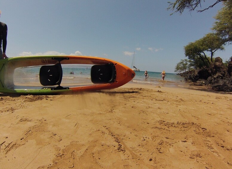 Picture 4 for Activity South Maui: Self Guided Clear Bottom Kayak Tour