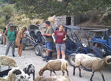 Buggy safari Crete (Transfer and lunch) analipsi- hersonisos