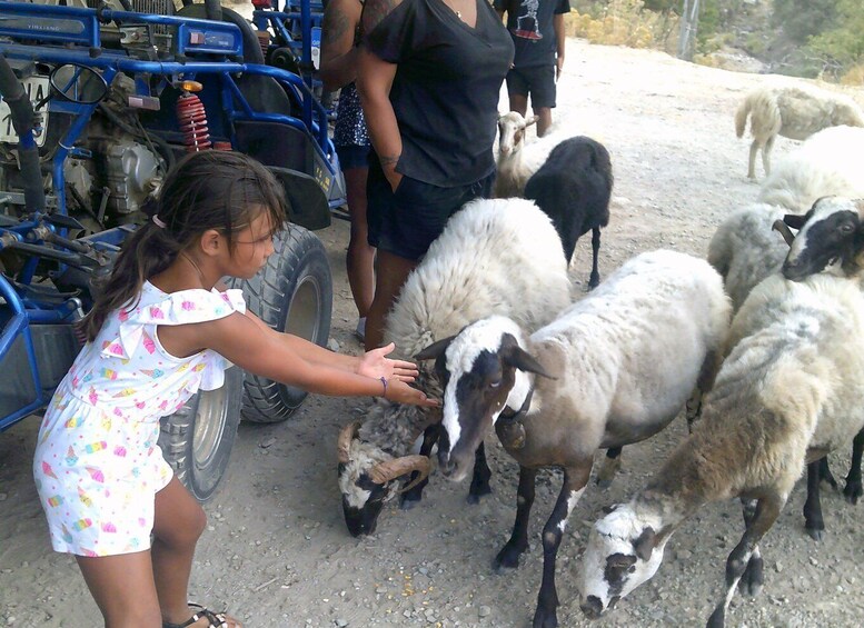 Picture 14 for Activity Buggy safari Crete (Transfer and lunch) analipsi- hersonisos