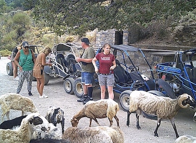 Buggy safari Crete (Transfer and lunch) analipsi- hersonisos