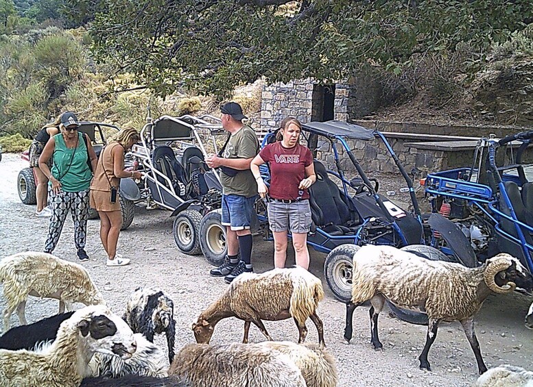 Buggy safari Crete (Transfer and lunch) analipsi- hersonisos