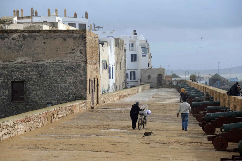 Picture 1 for Activity Essaouira: Half-Day Old Town Guided Tour