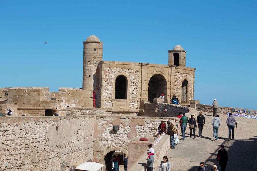 Picture 2 for Activity Essaouira: Half-Day Old Town Guided Tour