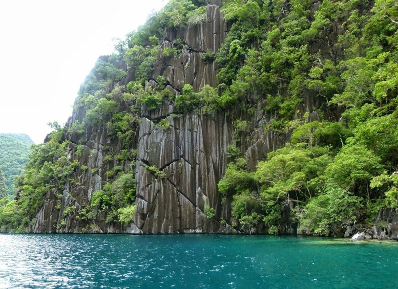 Picture 6 for Activity Coron Private Tour B: Barracuda Lake and Smith Beach