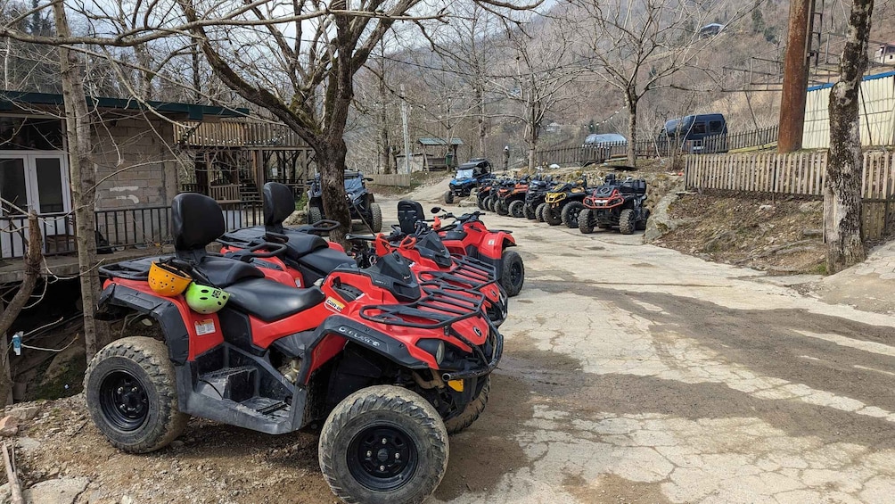 Picture 4 for Activity Mtirala Adventure Trip: ATV-QuadBike, Buggy & Horse Riding