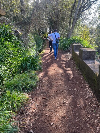 Picture 7 for Activity Levada Walk, Cider Tasting & Lunch