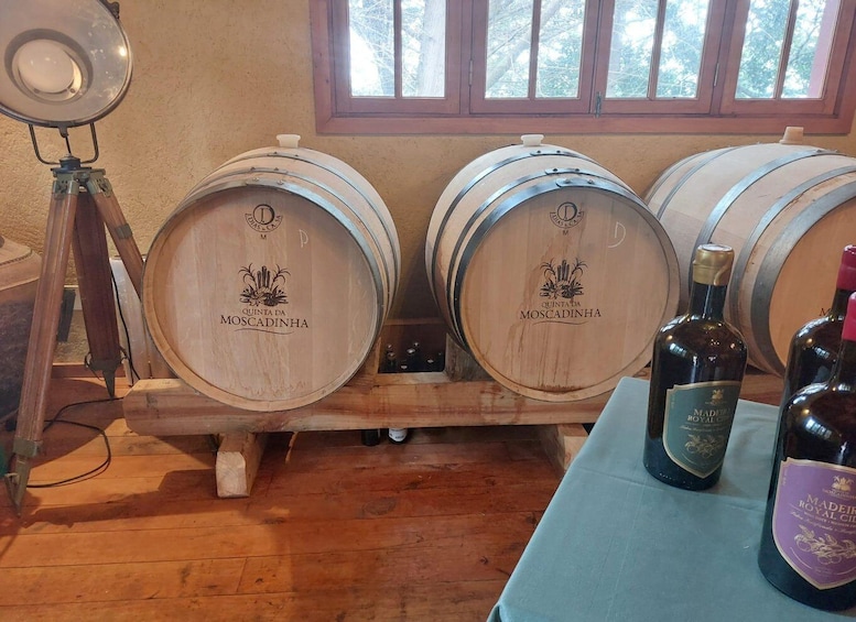 Picture 3 for Activity Levada Walk, Cider Tasting & Lunch