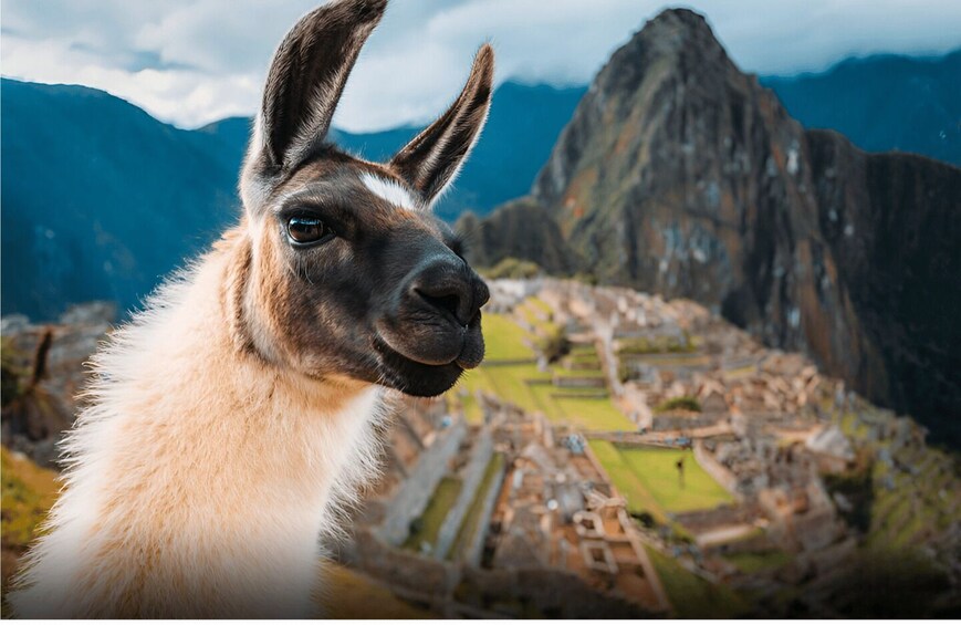 From Lima:Explore Lima,Cusco and Machupicchu in 6 days -Peru