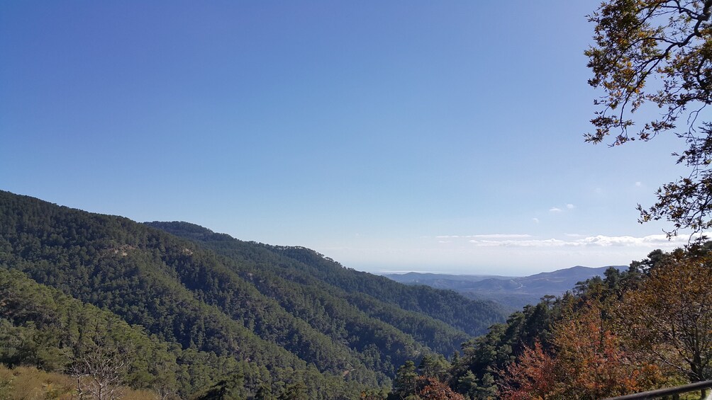 Troodos Mountains