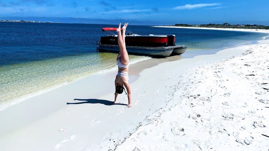 Private Dolphin Tour with Secluded Beach/Snorkel Stop