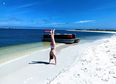 Private Dolphin Tour with Secluded Beach/Snorkel Stop